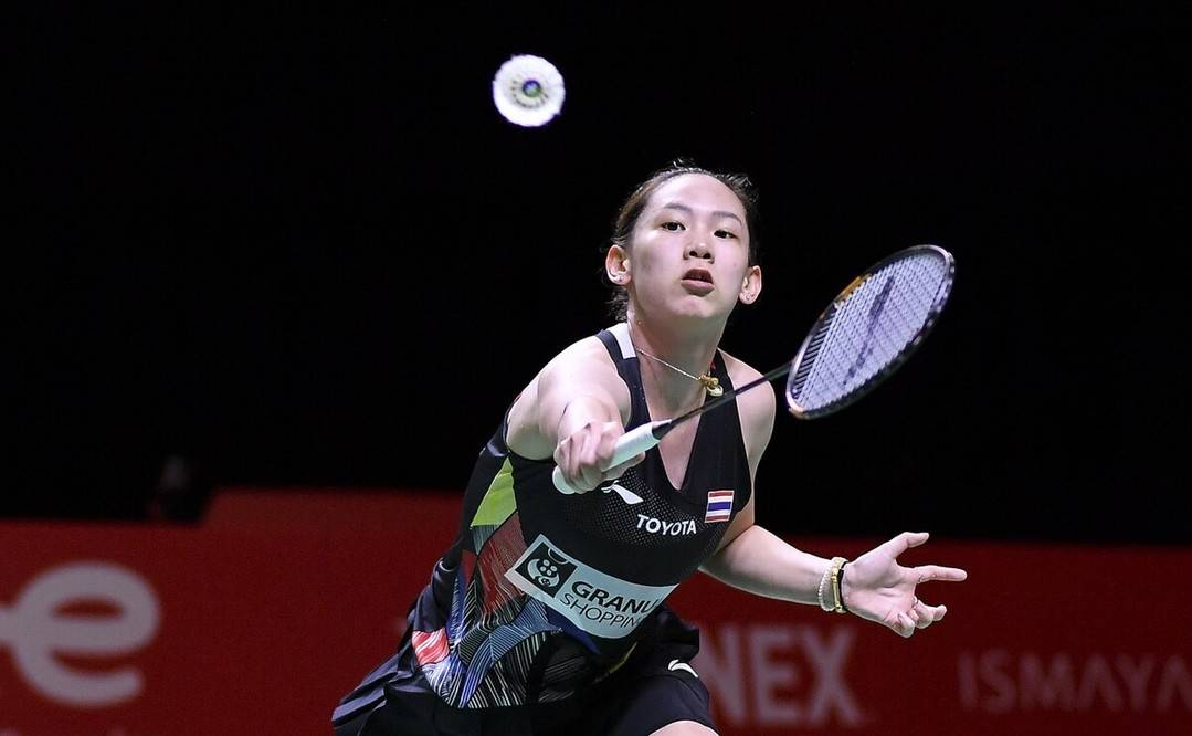 他提供一个 他提供一个