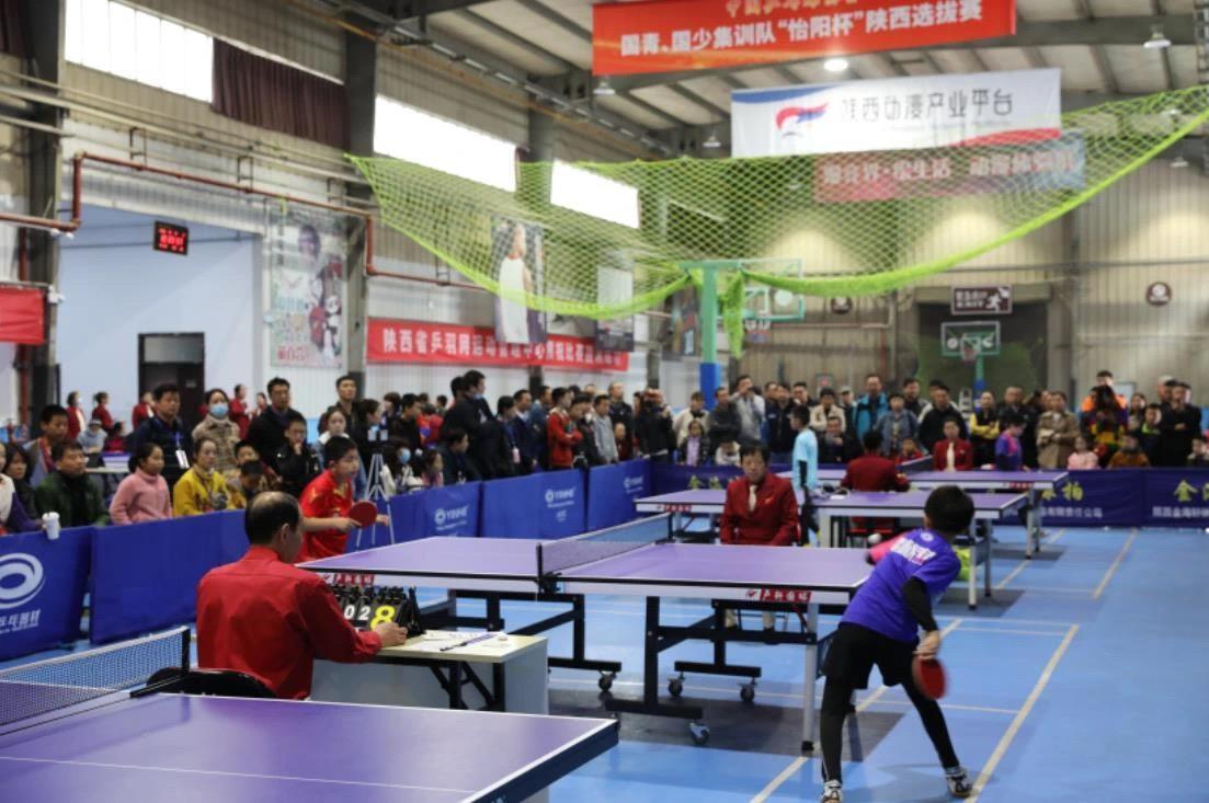 教练合同本 教练合同本