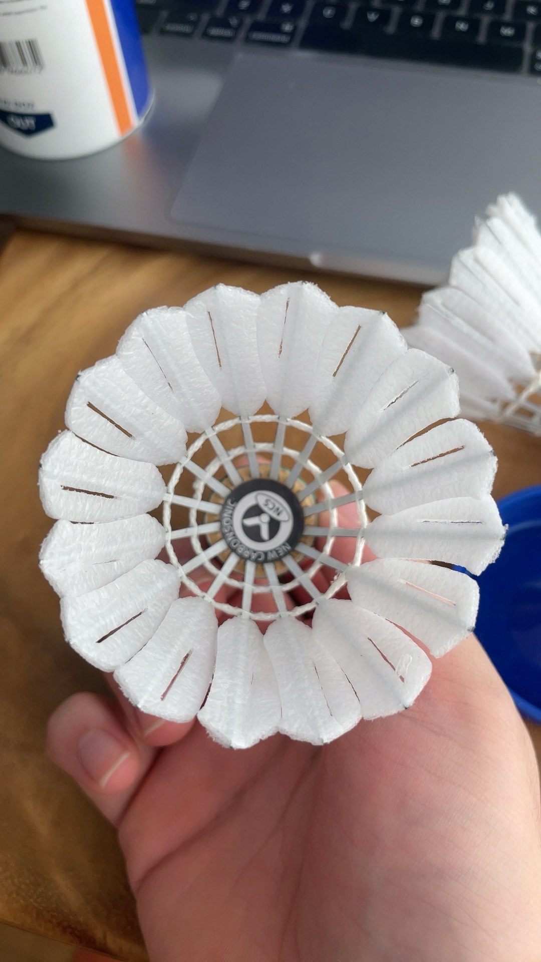 胜利的渴望 胜利的渴望